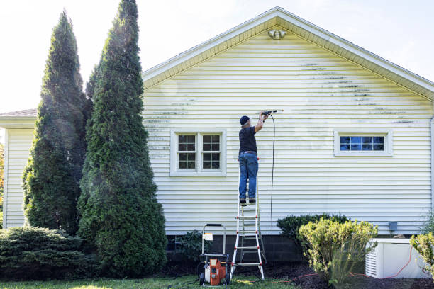 Best Exterior Home Cleaning  in Wrens, GA