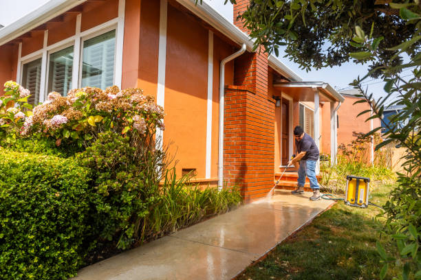 Best Affordable Pressure Washing  in Wrens, GA